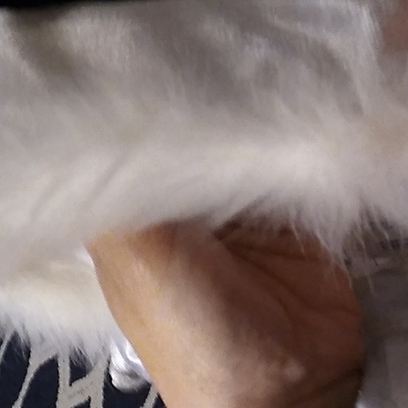 Dogs snowman Halloween costume size small. - Picture 5 of 5